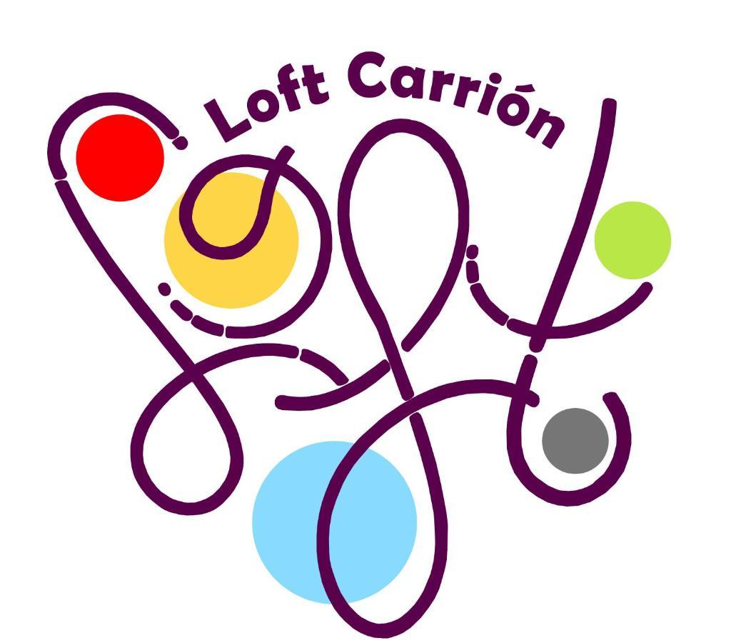 卡里翁德洛斯孔德斯Loft Carrion公寓 外观 照片